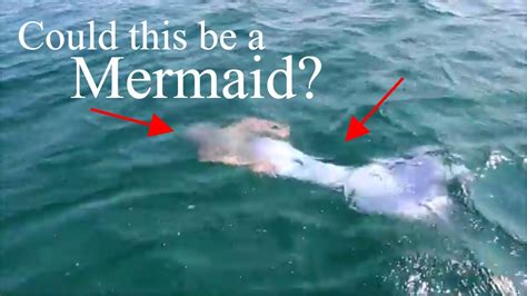 mermaiid leaked|The mermaid sighting video thats dividing opinion on TikTok